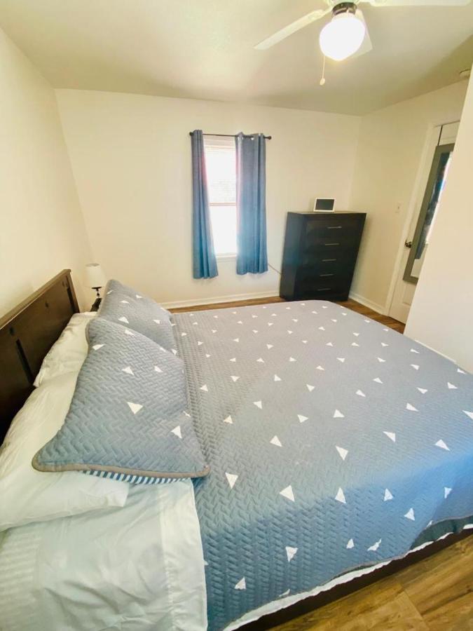 סיינט פיטרסברג Two Fully Equipped Apartments And A Studio 5 Miles From The Beach מראה חיצוני תמונה