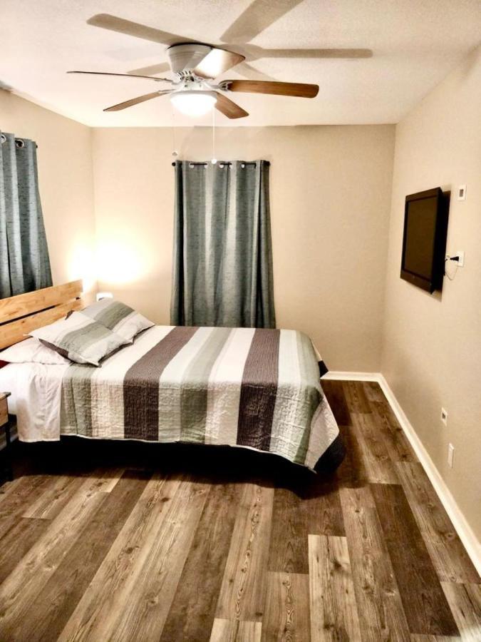 סיינט פיטרסברג Two Fully Equipped Apartments And A Studio 5 Miles From The Beach מראה חיצוני תמונה